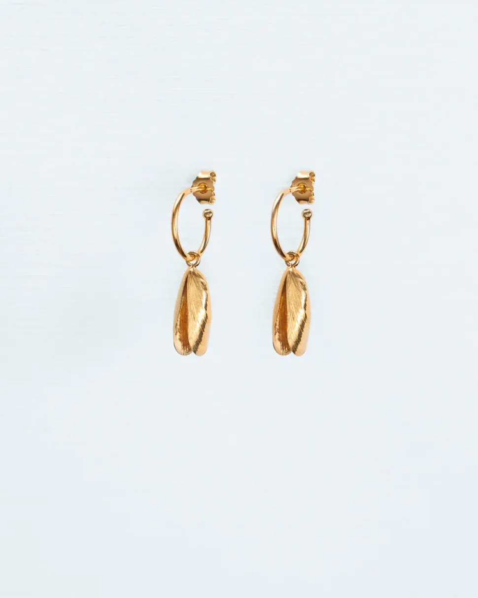 Wouters&Hendrix – hoops met mossels