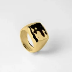 Lore Van Keer – credo ring zilver verguld